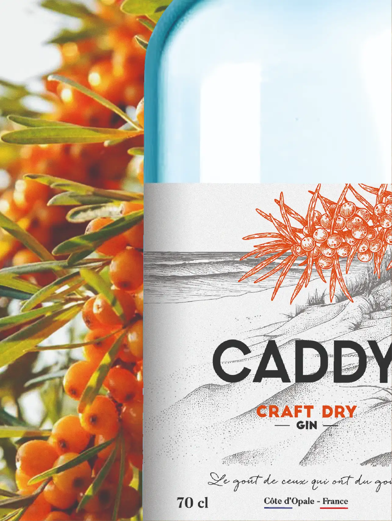 Caddy (2) (1)